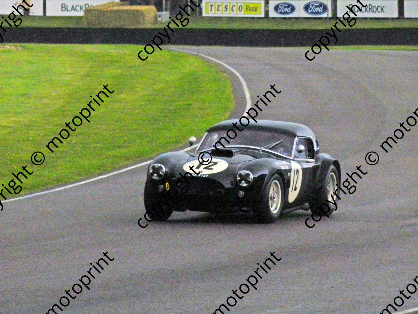 12 Ludovic Caron Anthony Cobra (3)