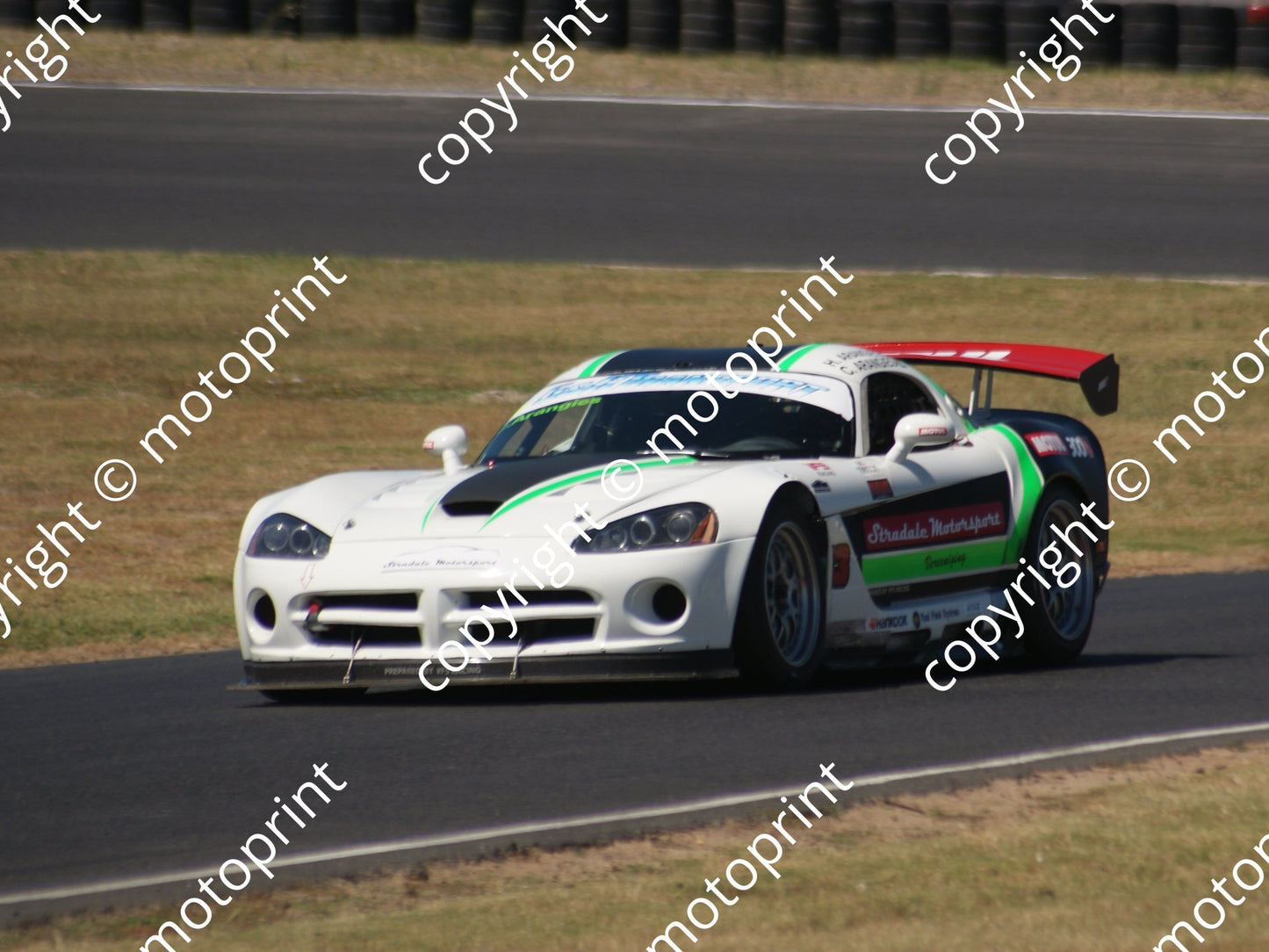13 Charl and Harry Arangies Dodge Viper (4)