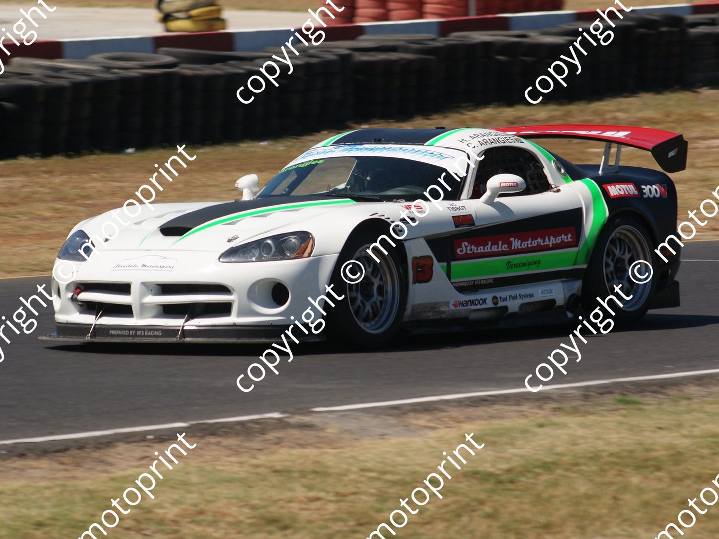 13 Charl and Harry Arangies Dodge Viper (5)