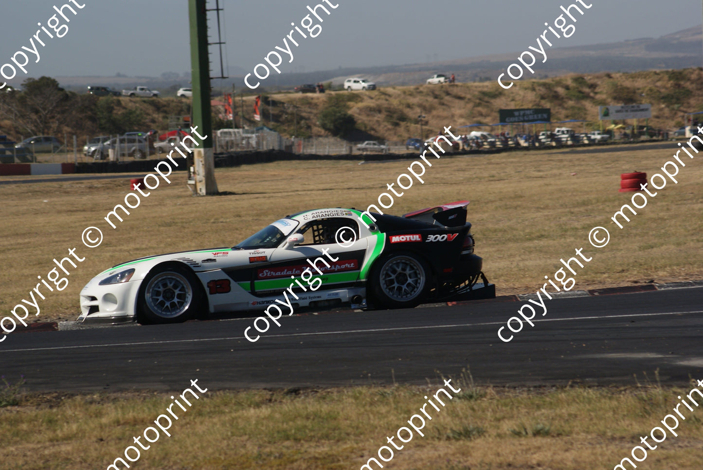 13 Charl and Harry Arangies Dodge Viper (9)