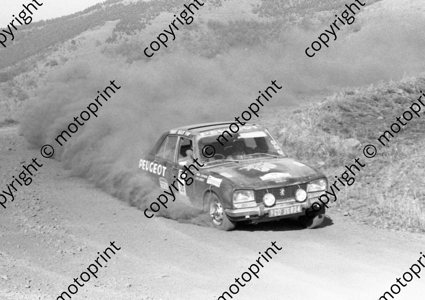 1973 Total 39 Andre Liebenberg Leon Joubert Peugeot 504Ti (courtesy Roger Swan) (10)