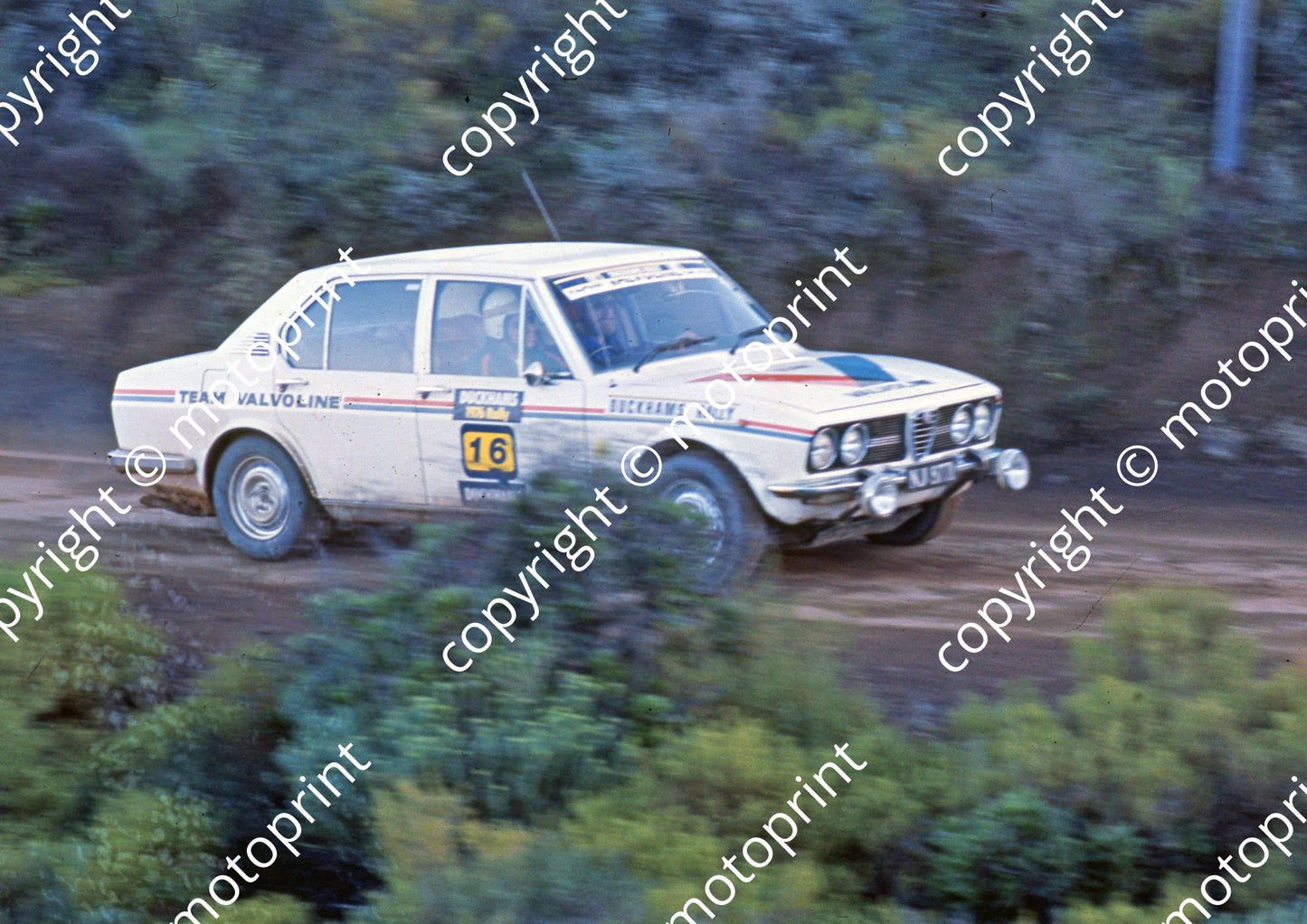 1976 Duckhams 16 Fred Franz, Elton Prytz Alfetta (courtesy Roger Swan) (2)