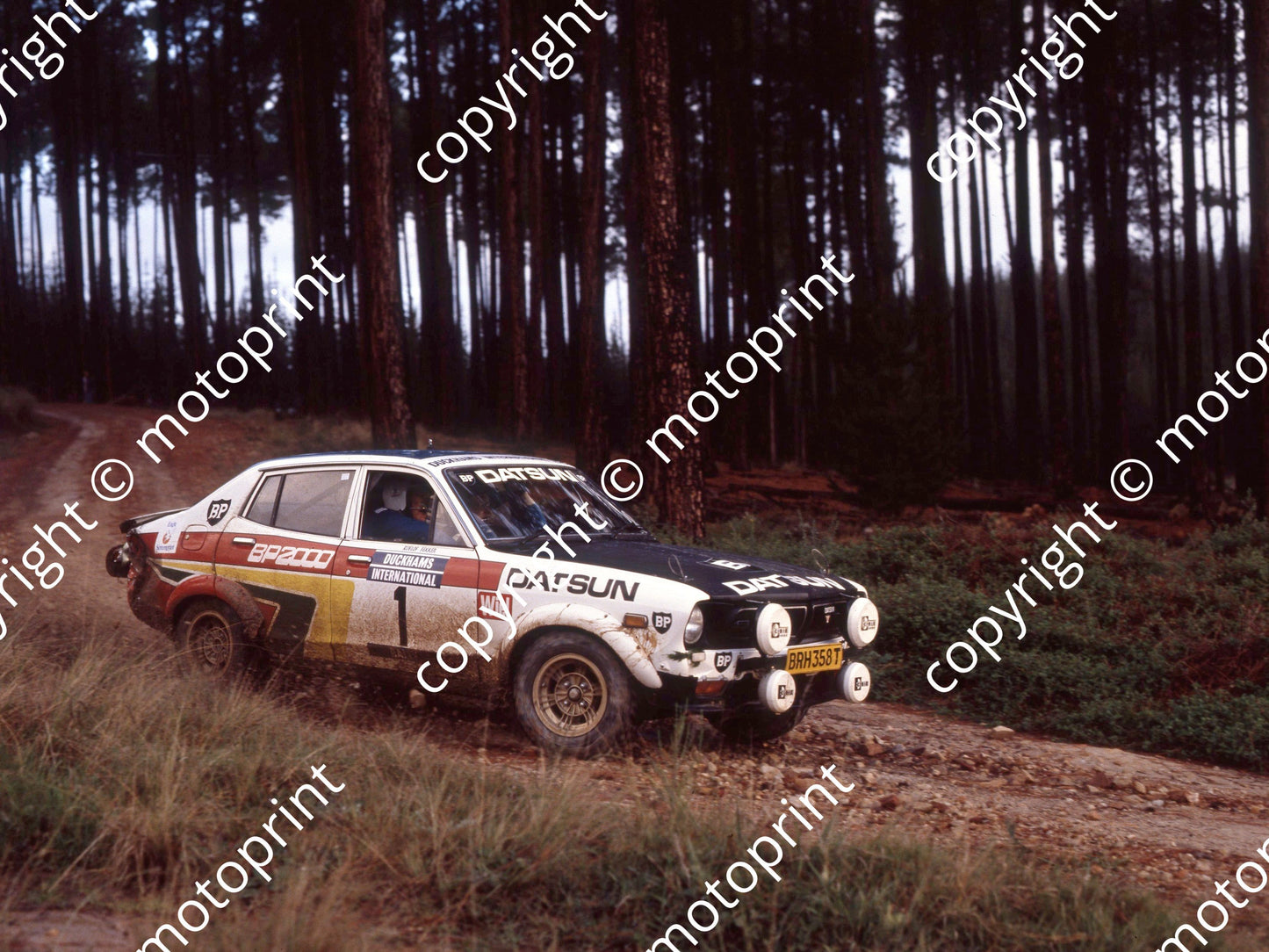 1979 Duckhams Intnl 1 Roelof Fekken....Datsun (courtesy Roger Swan) (3)