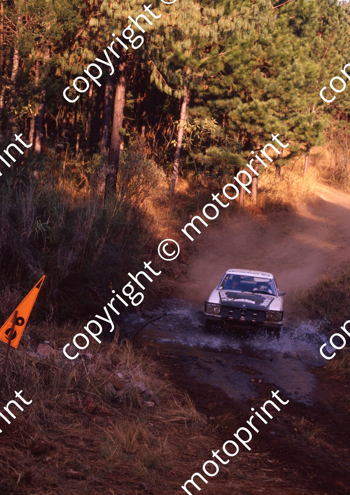 1981 Castrol Radio 5 9 Albert Pfuhl, Peter Lippmann Mercedes 500SSL (courtesy Roger Swan) (2)