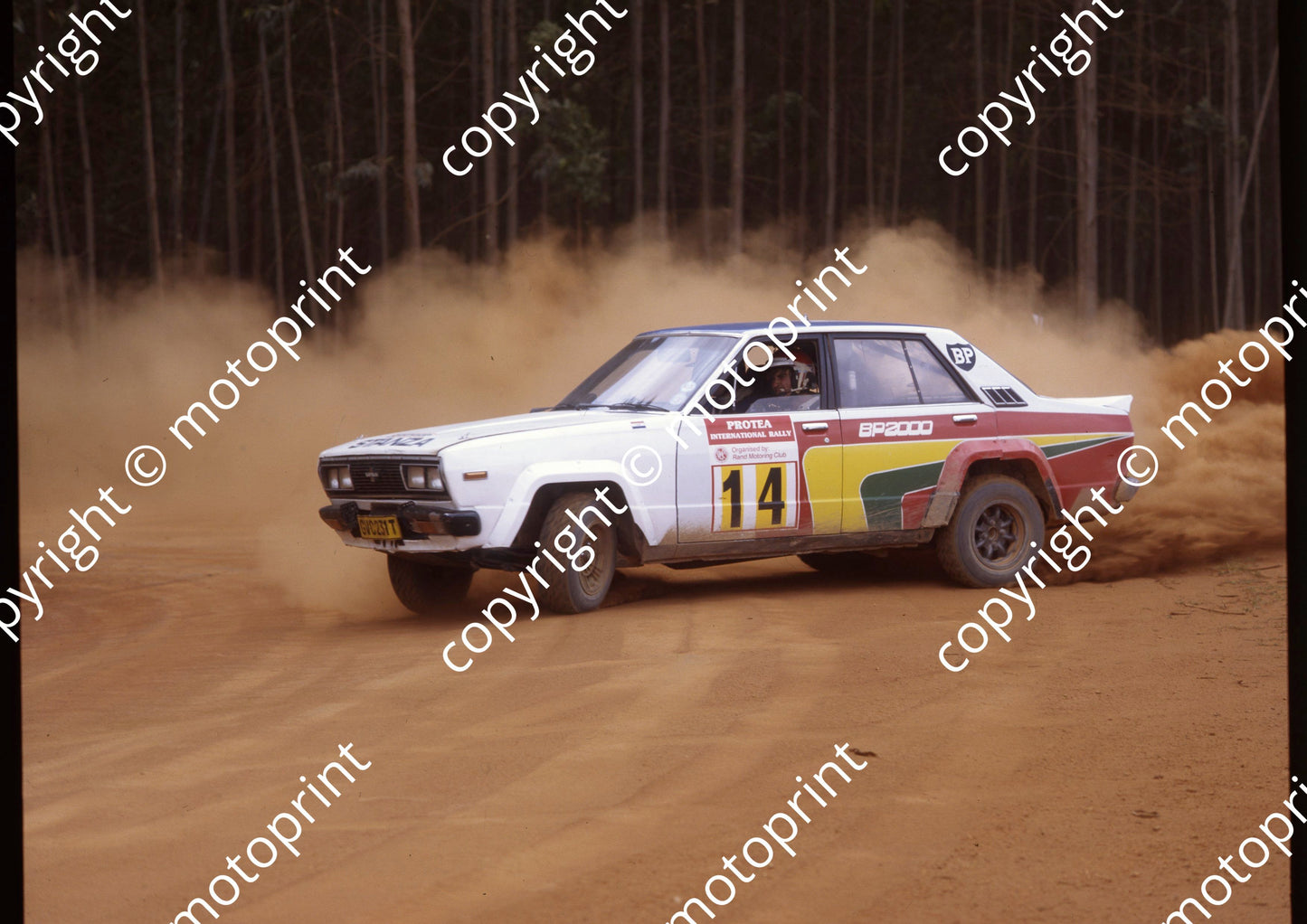 1982 Protea 14 (courtesy Roger Swan) (49)