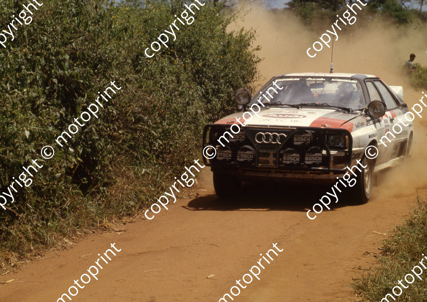 1983 Safari 10 Vic Preston jnr, John Lyall Audi Quattro A1 (Roger Swan) (8)