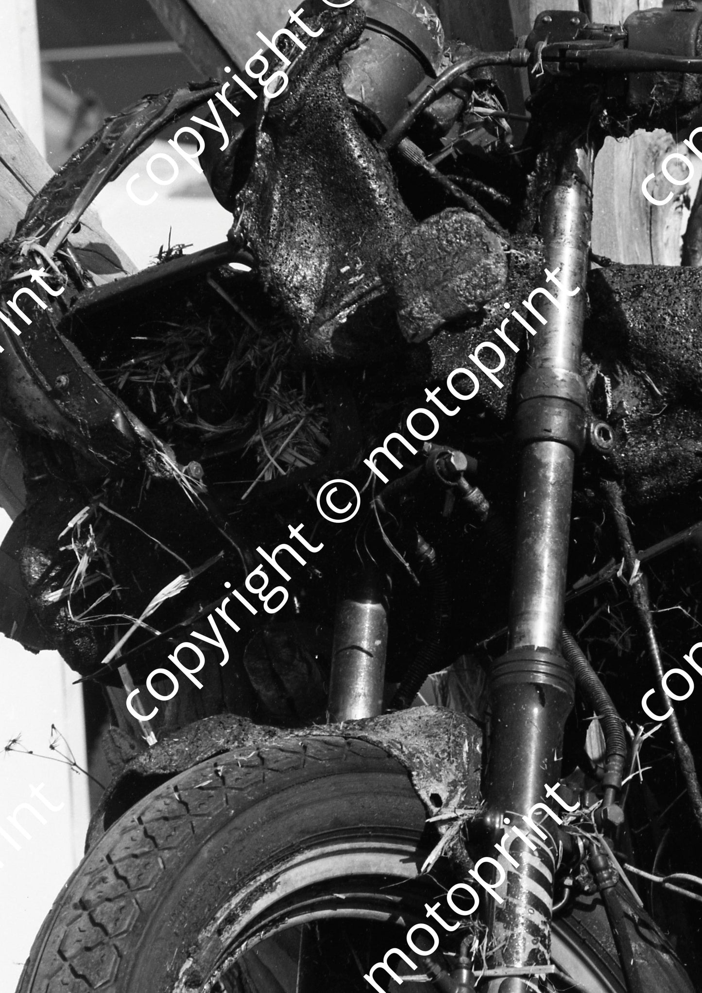 1984 EL Brut GP MC ....Kawasaki (Colin Watling Photographic) (34)