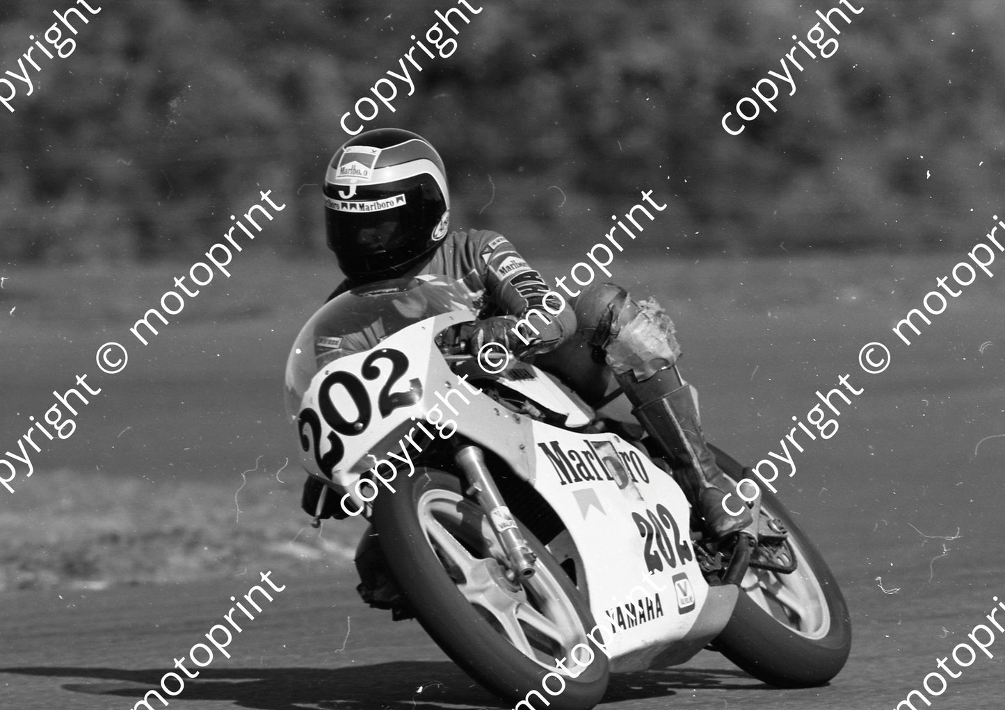 1984 EL Brut GP MC 202 Jimmy Rodger Yamaha (Colin Watling Photographic) (65)