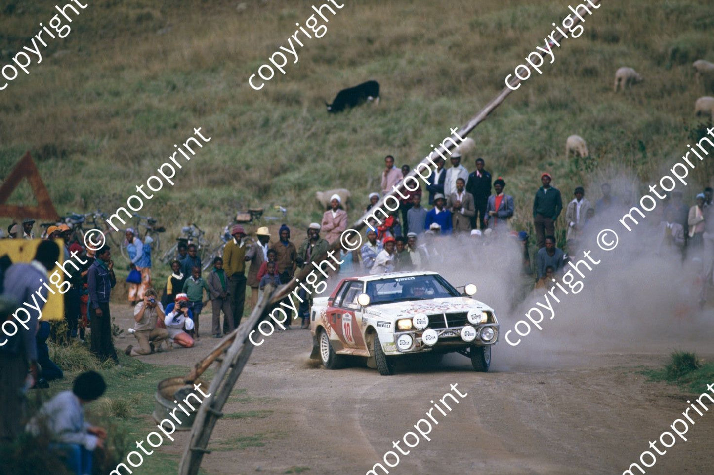 1986 Safari 10 Lars-Erik Torph, Hans Thorszelius Celica Twincam Turbo (RSwan) (4)