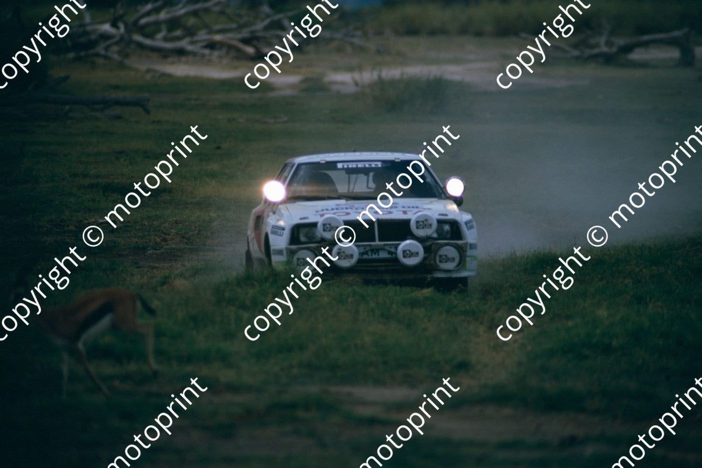 1986 Safari 2 Bjorn Waldegard, Fred Gallagher Celica Twincam wildlife (RSwan) (10)