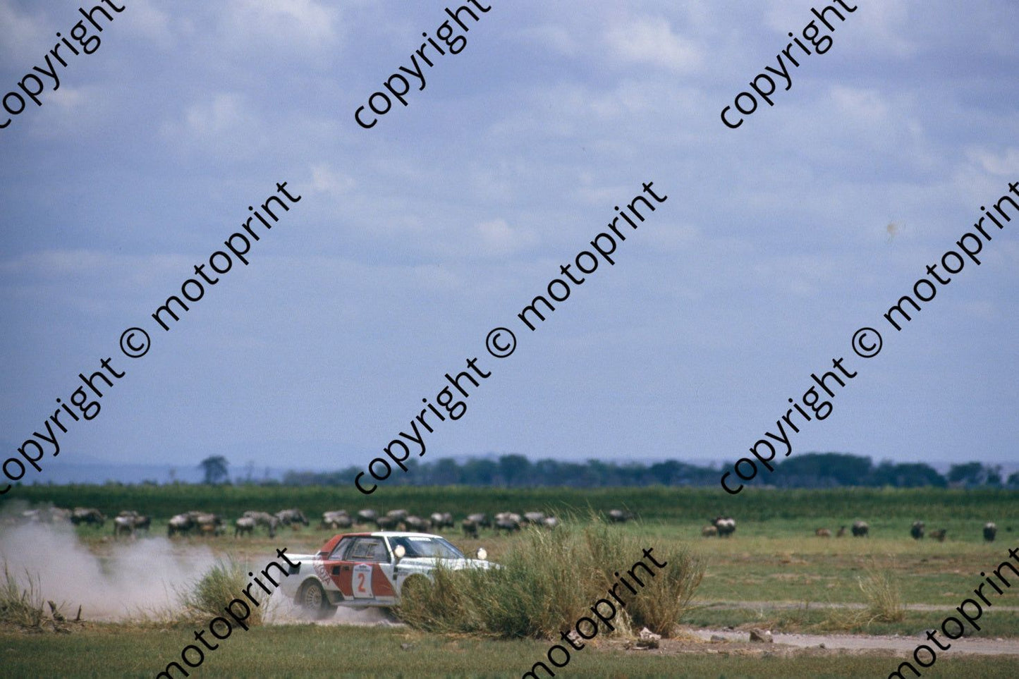 1986 Safari 2 Bjorn Waldegard, Fred Gallagher Celica Twincam wildlife (RSwan) (13)