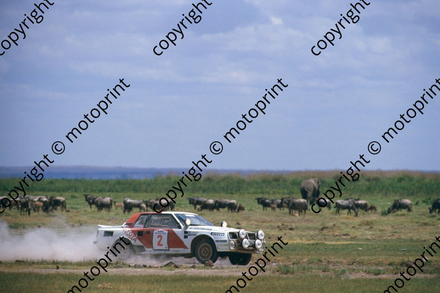 1986 Safari 2 Bjorn Waldegard, Fred Gallagher Celica Twincam wildlife (RSwan) (15)