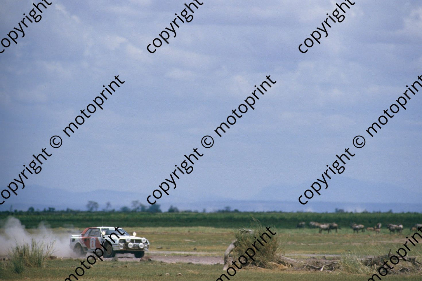 1986 Safari 2 Bjorn Waldegard, Fred Gallagher Celica Twincam wildlife (RSwan) (17)