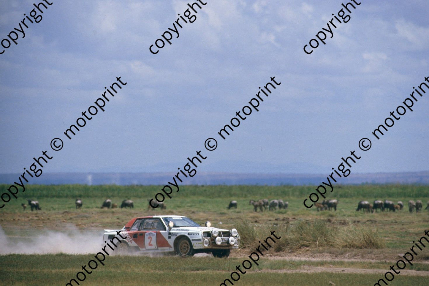 1986 Safari 2 Bjorn Waldegard, Fred Gallagher Celica Twincam wildlife (RSwan) (19)