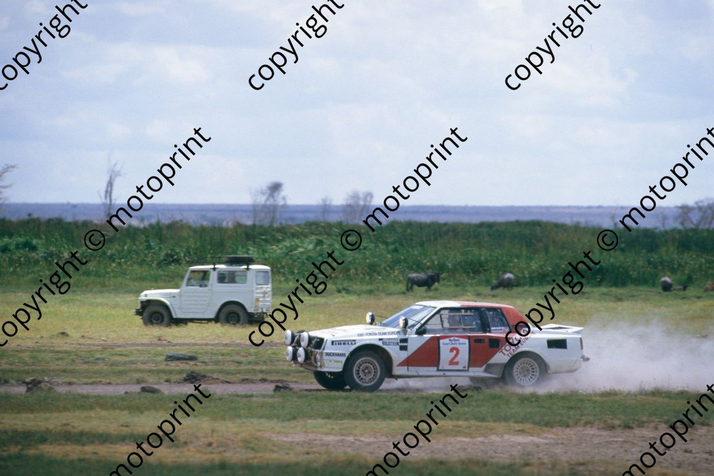 1986 Safari 2 Bjorn Waldegard, Fred Gallagher Celica Twincam wildlife (RSwan) (27)