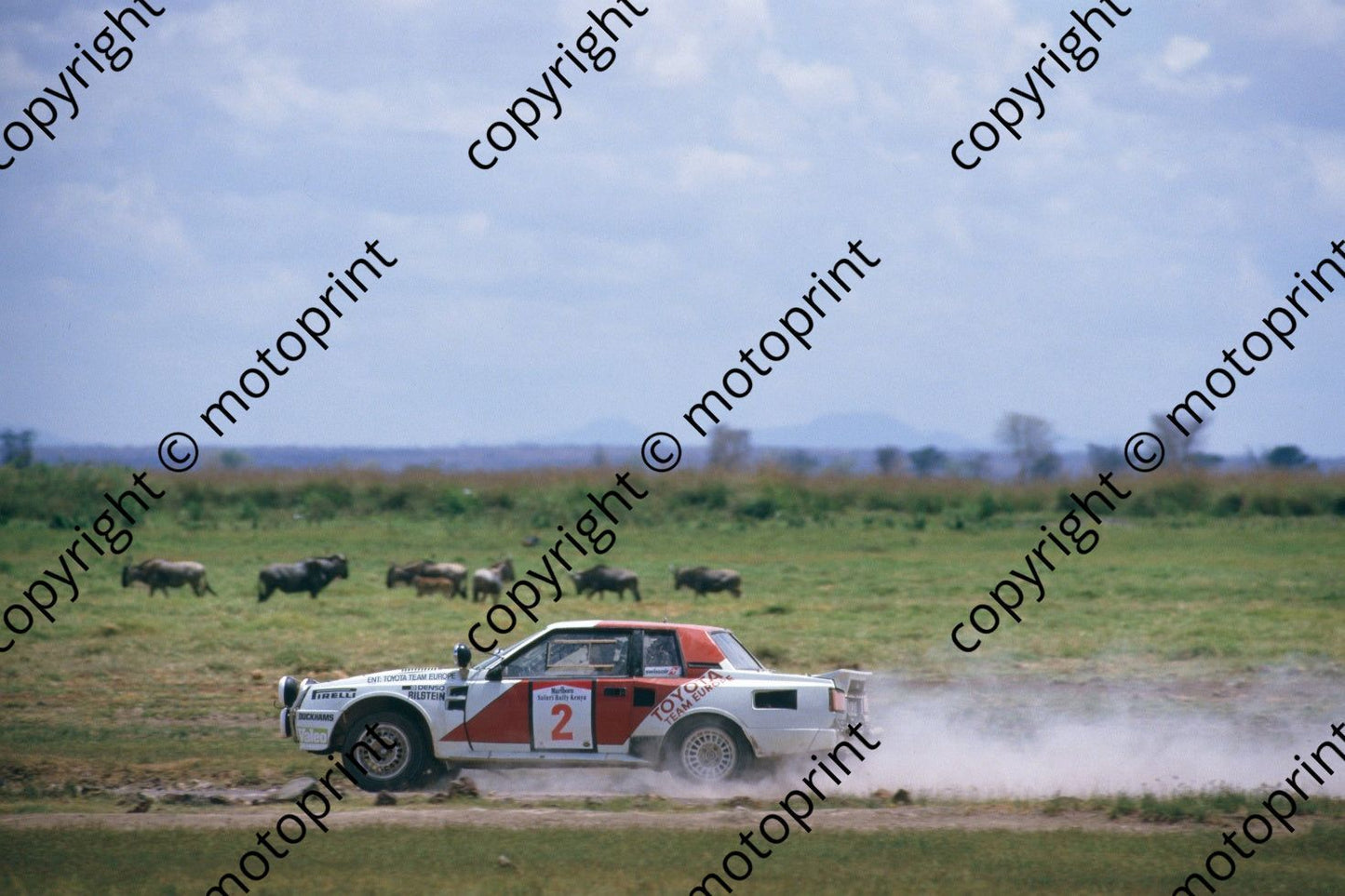 1986 Safari 2 Bjorn Waldegard, Fred Gallagher Celica Twincam wildlife (RSwan) (4)