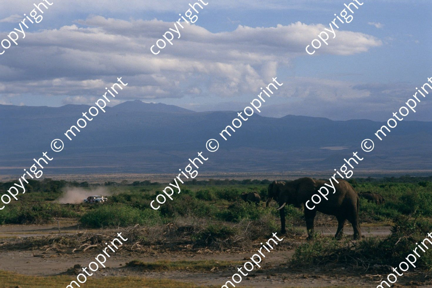 1986 Safari 8 Erwin Weber, Gunter Wanger Toyota Celica Twincam turbo (courtesy Roger Swan) (7)
