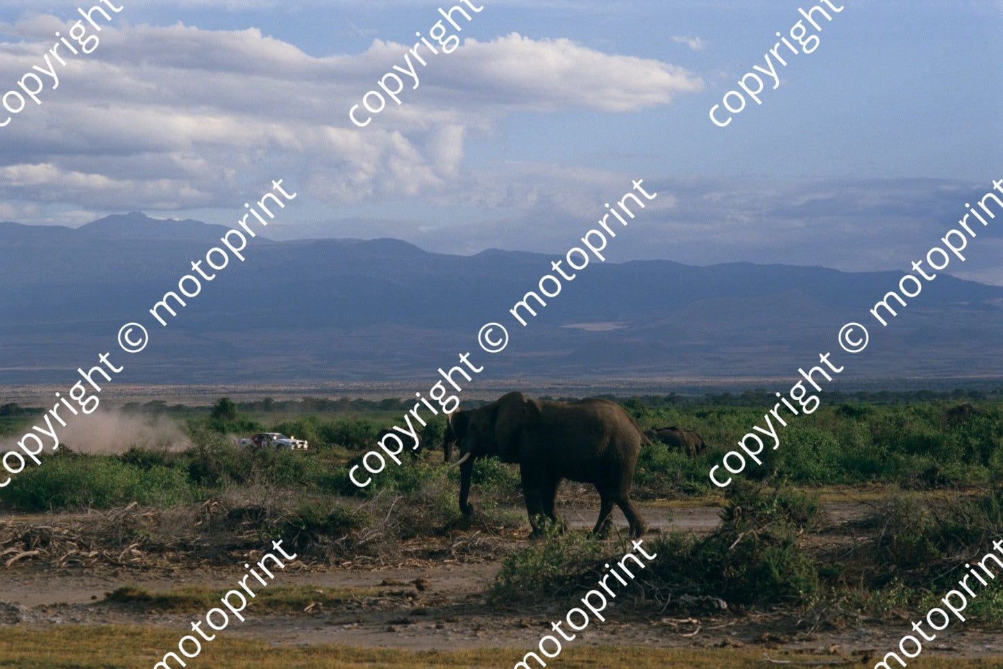 1986 Safari 8 Erwin Weber, Gunter Wanger Toyota Celica Twincam turbo (courtesy Roger Swan) (8)
