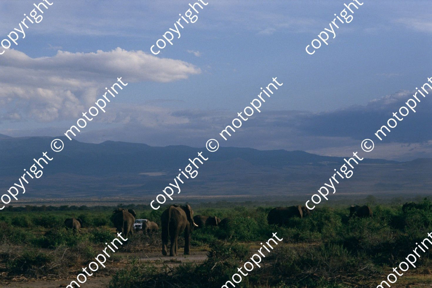 1986 Safari 8 Erwin Weber, Gunter Wanger Toyota Celica Twincam turbo (courtesy Roger Swan) (9)
