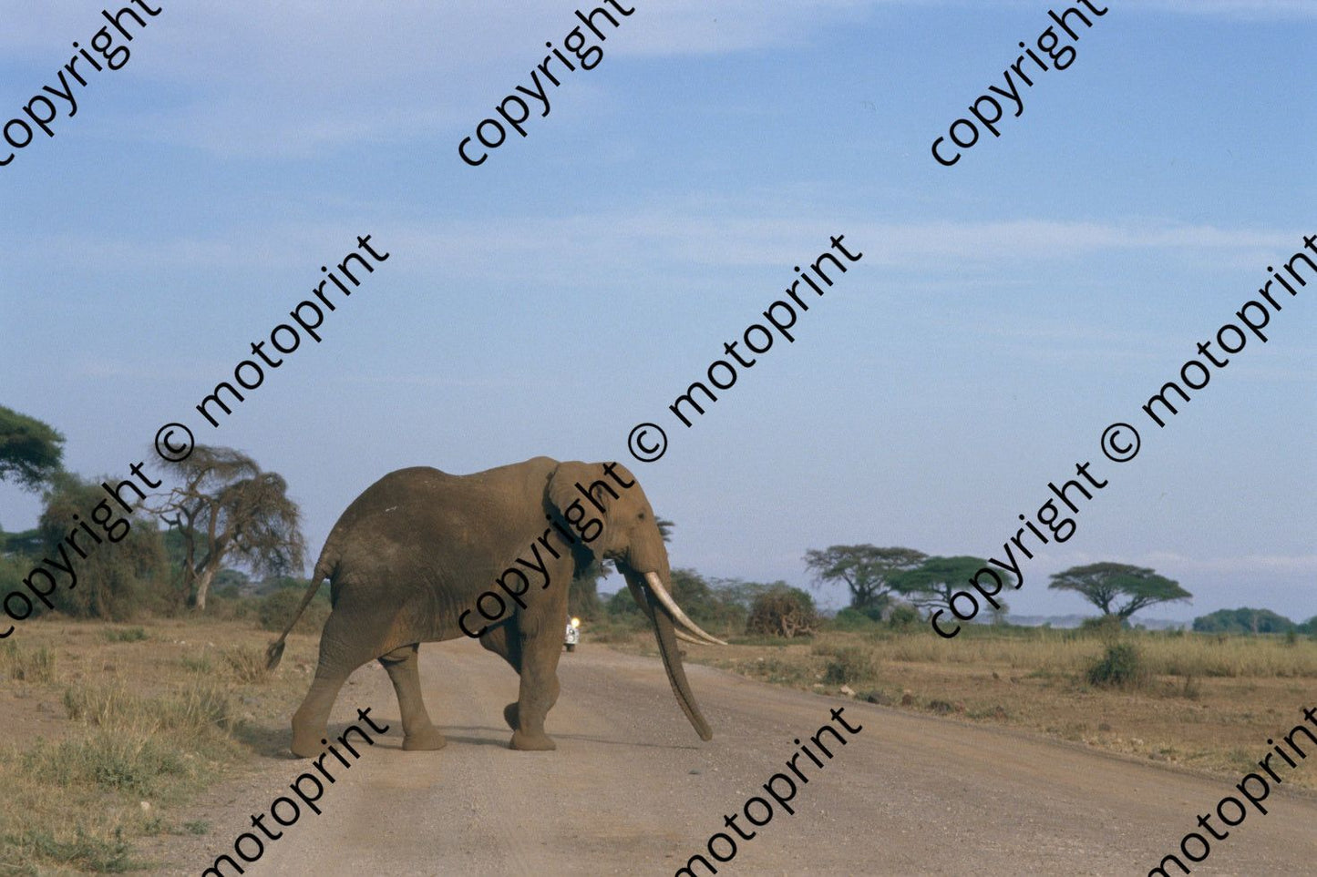 1986 Safari (courtesy Roger Swan) (206)