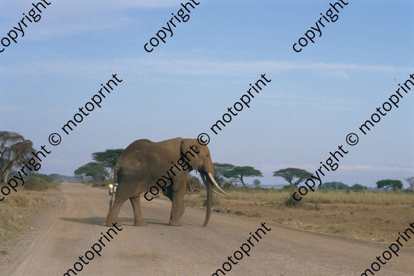 1986 Safari (courtesy Roger Swan) (207)