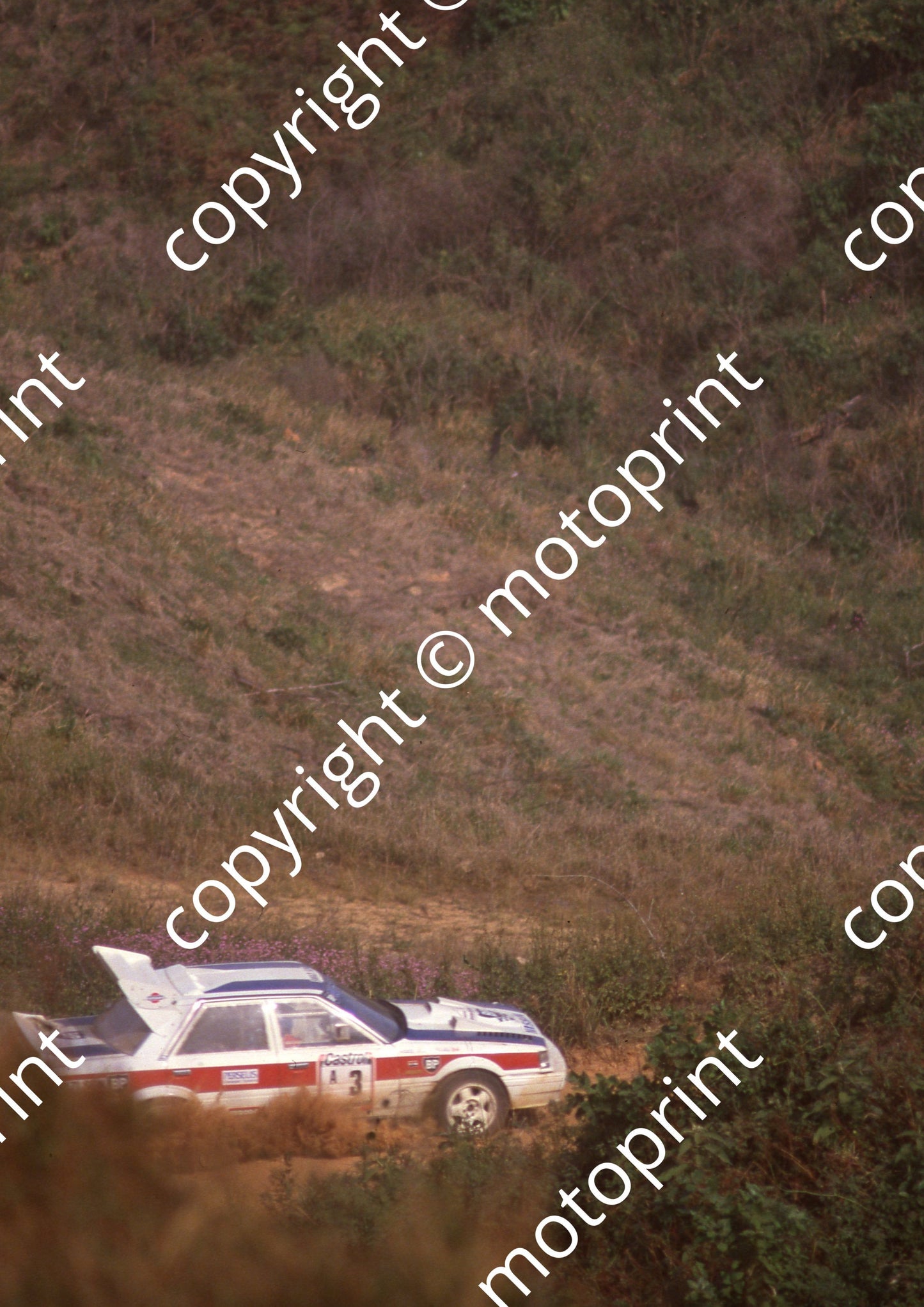1988 Castrol Intnl Rally 3 Hannes Grobler, Piet Swanepoel Skyline (Colin Watling Photographic) (2)