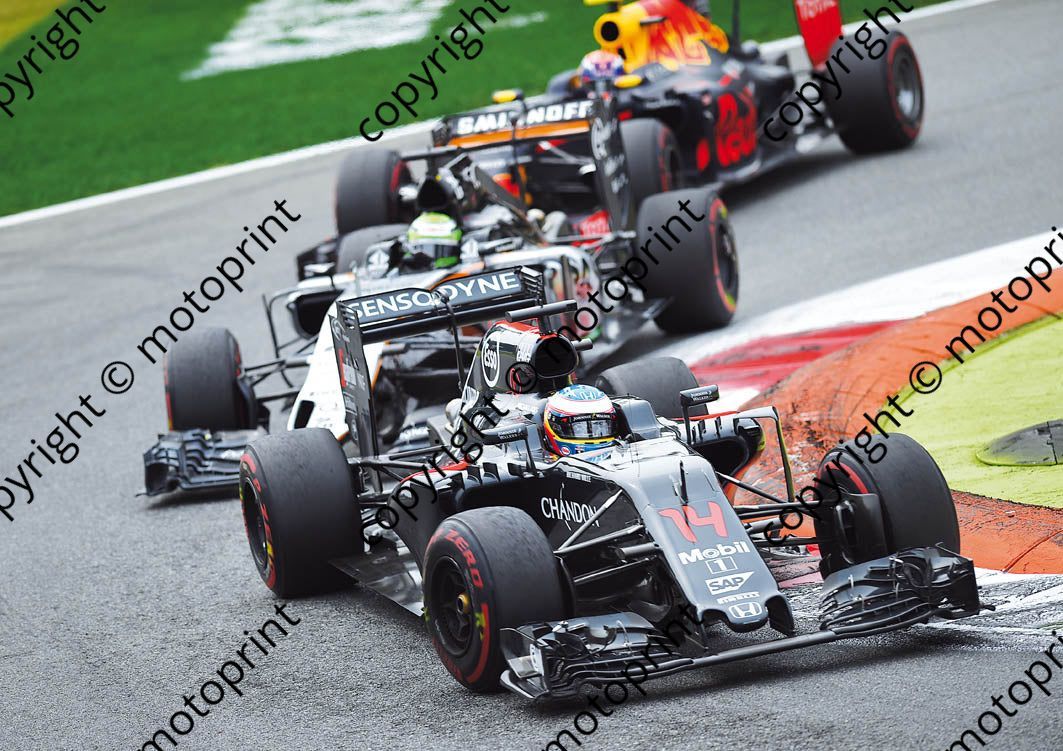 2016 14 Fernando Alonso McLaren Honda MP4-31 Italian GP (courtesy Paolo D'Alessio) (82)