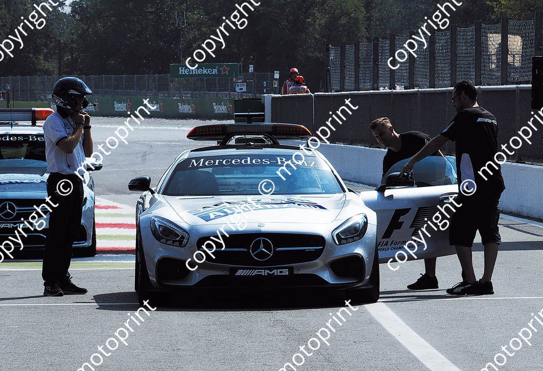 2016 Italian GP (courtesy Paolo D'Alessio) (14)