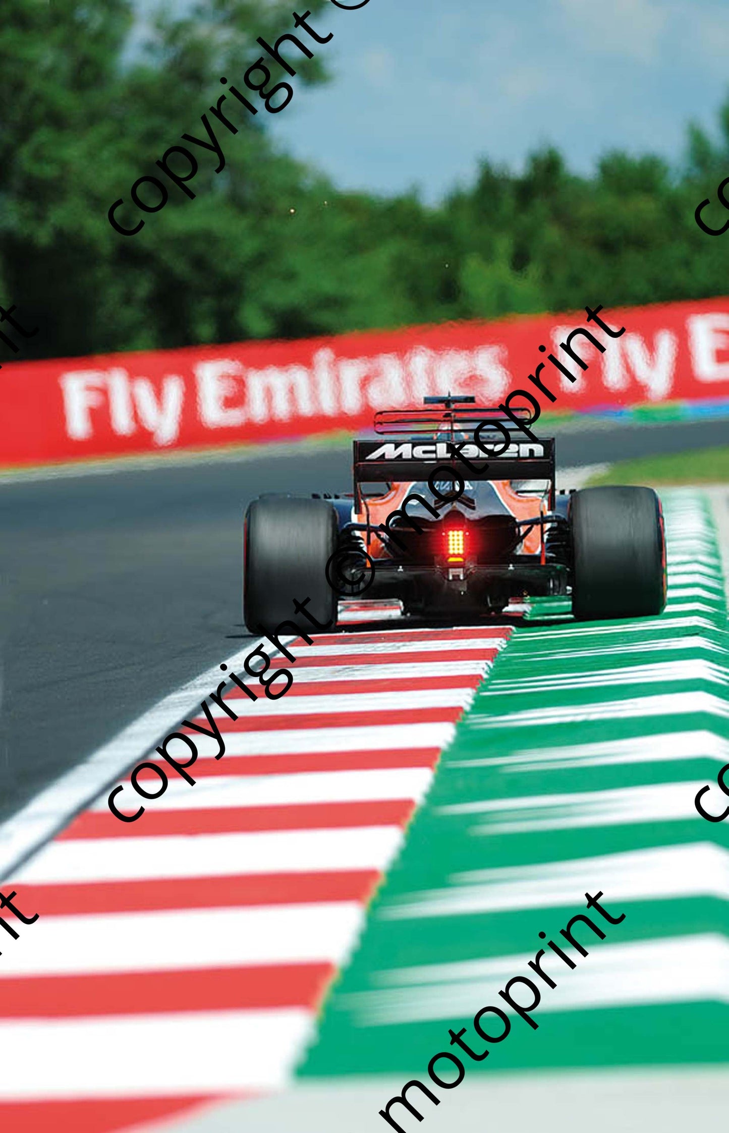 2017 GP Hungary 14 Fernando Alonso 2 Stoffel Vandoorne McLaren MCL32 (Courtesy Paolo D'Alessio) 1 (27)