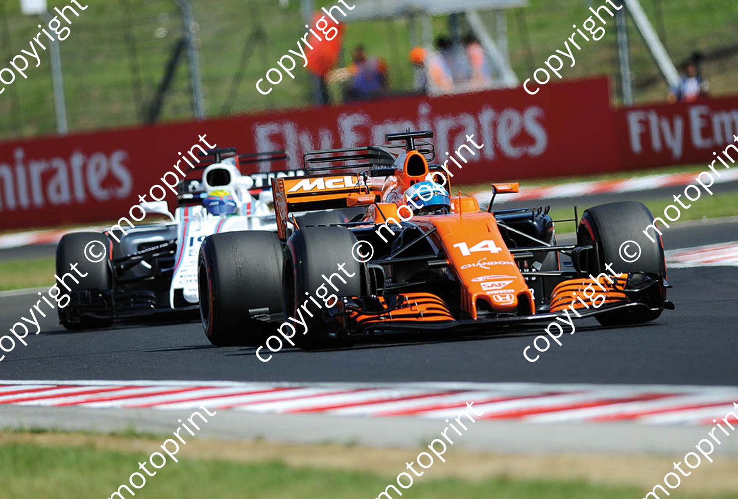 2017 GP Hungary 14 Fernando Alonso McLaren MCL32 (Courtesy Paolo D'Alessio) 1 (25)