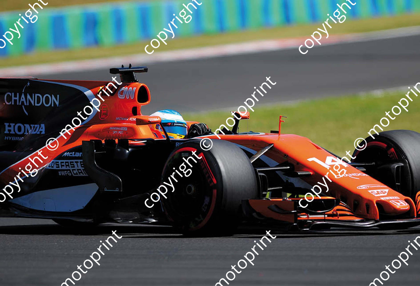 2017 GP Hungary 14 Fernando Alonso McLaren MCL32 (Courtesy Paolo D'Alessio) 1 (26)