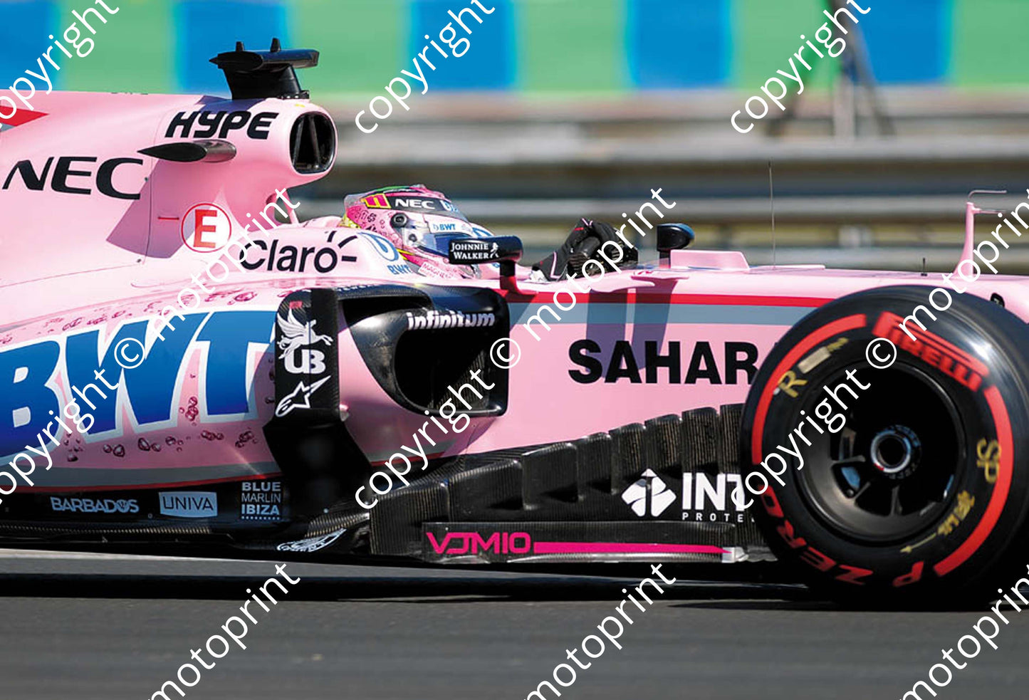 2017 GP Hungary 31 (Courtesy Paolo D'Alessio) 1 (66)