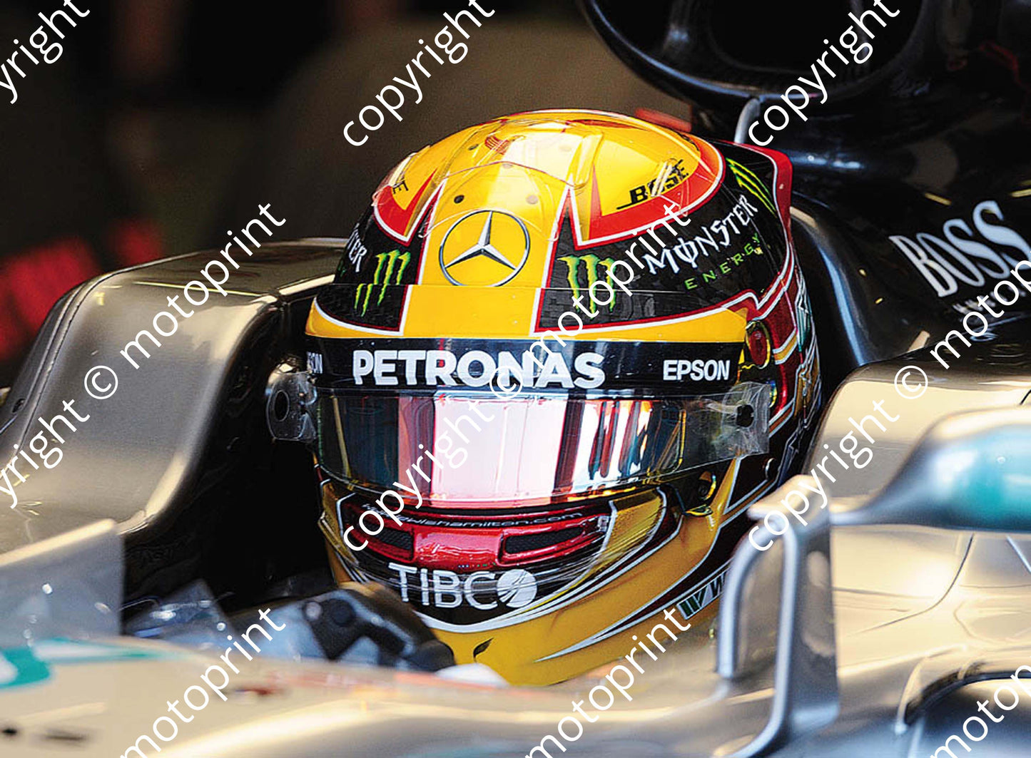 2017 GP Hungary 44 Lewis Hamilton Mercedes W08 (Courtesy Paolo D'Alessio) 1 (61)