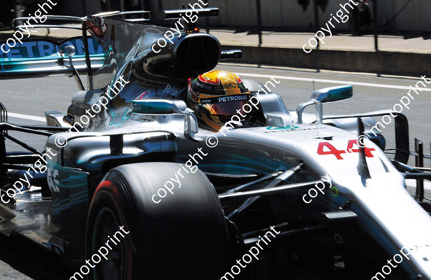 2017 GP Hungary 44 Lewis Hamilton Mercedes W08 (Courtesy Paolo D'Alessio) 1 (65)