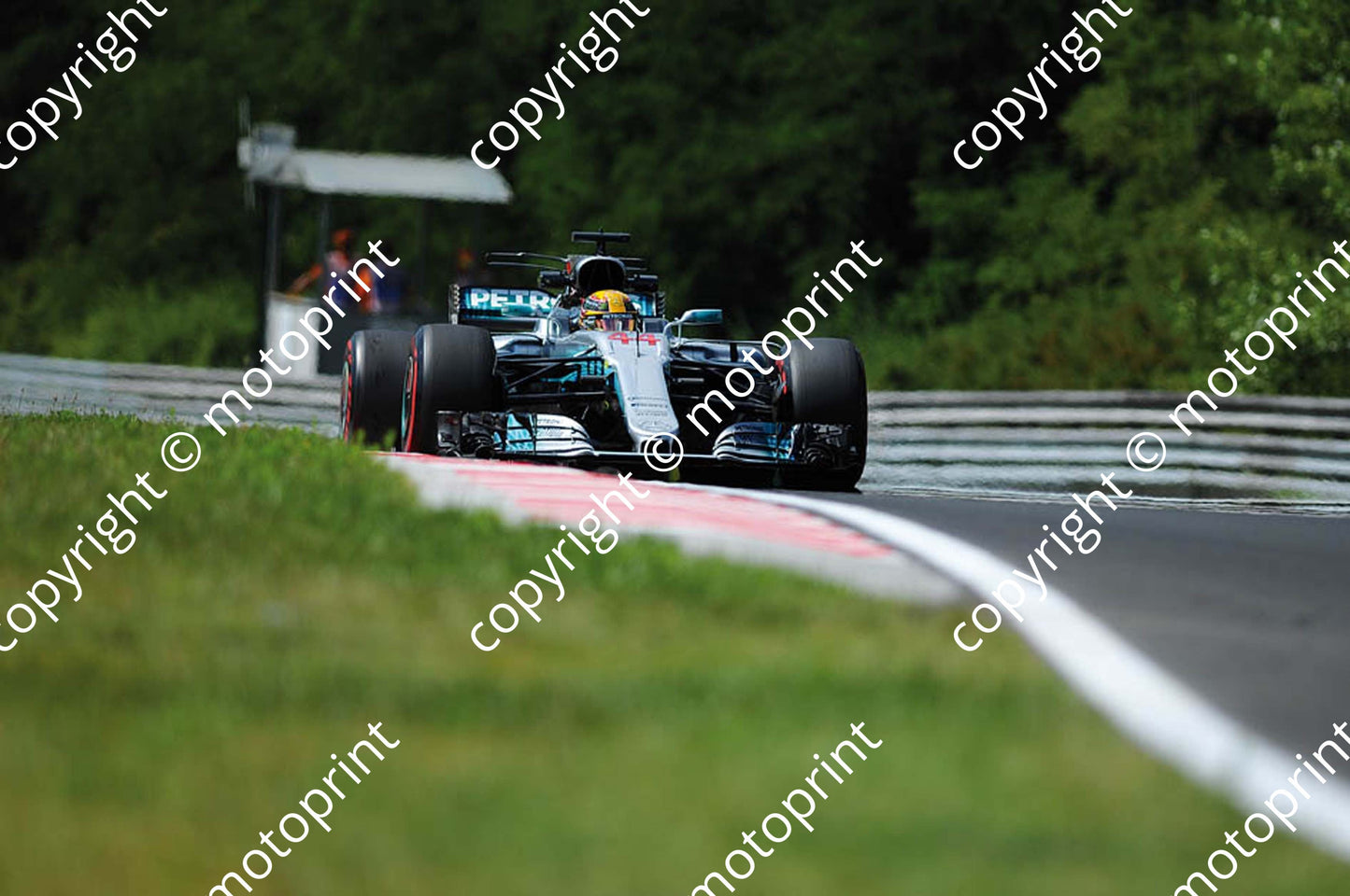 2017 GP Hungary 44 Lewis Hamilton Mercedes W08 (Courtesy Paolo D'Alessio) 1 (66)