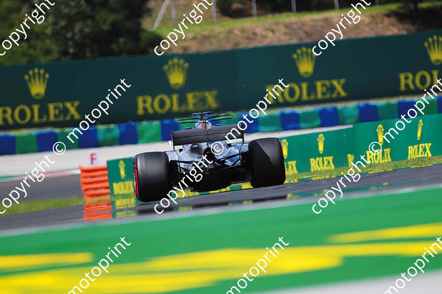 2017 GP Hungary 44 Lewis Hamilton Mercedes W08 (Courtesy Paolo D'Alessio) 1 (68)
