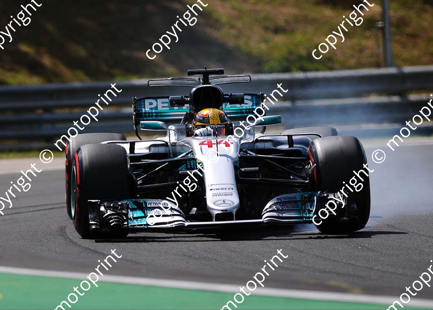 2017 GP Hungary 44 Lewis Hamilton Mercedes W08 (Courtesy Paolo D'Alessio) 1 (69)