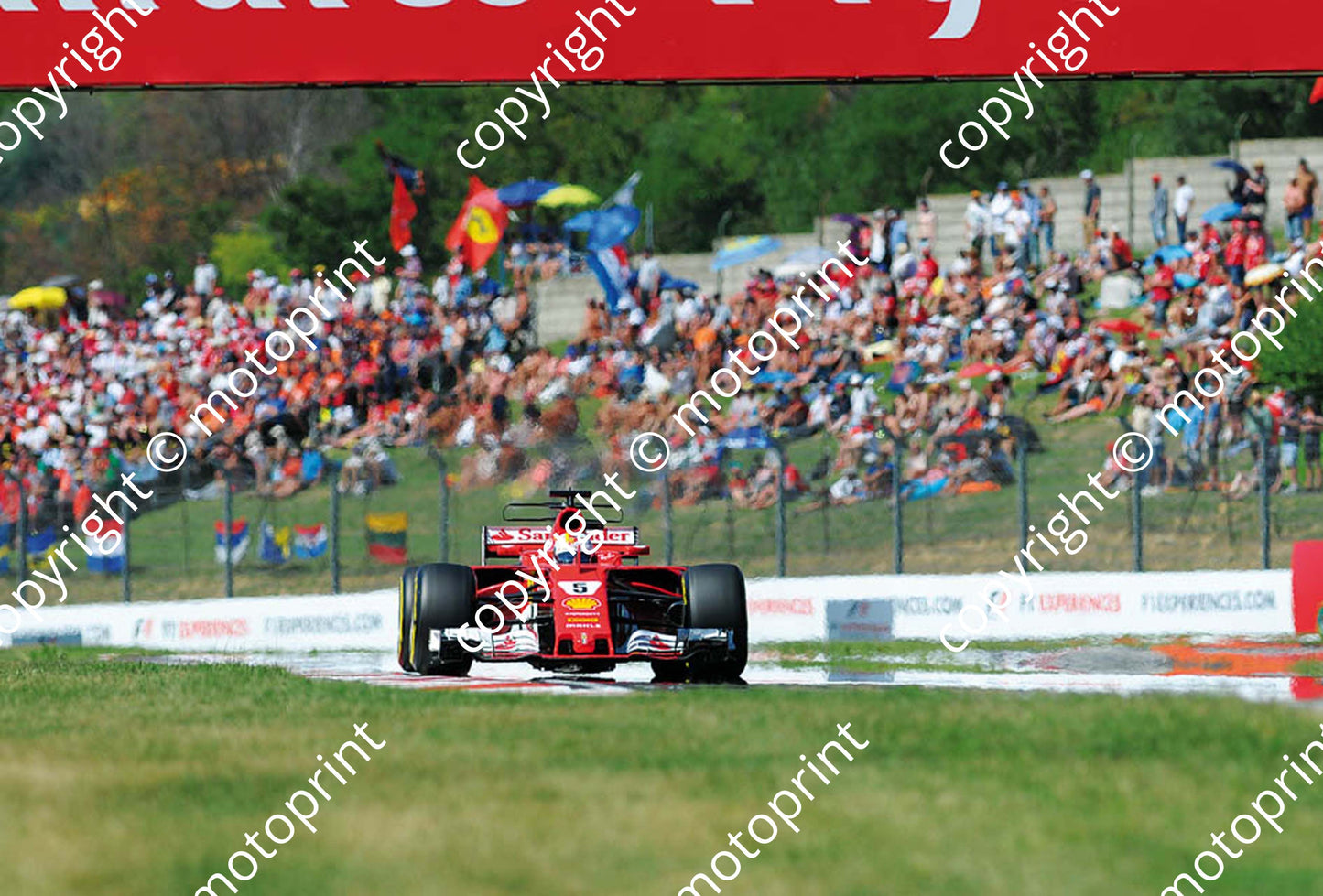 2017 GP Hungary 5 Sebastian Vettel Ferrari SF07H (Courtesy Paolo D'Alessio) 1 (70)