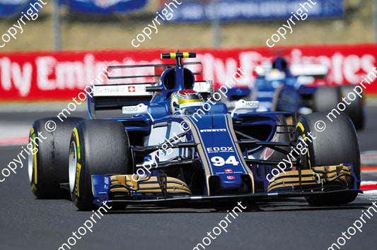 2017 GP Hungary 94 Pascal Wehrlein Sauber C36 (Courtesy Paolo D'Alessio) 1 (71)