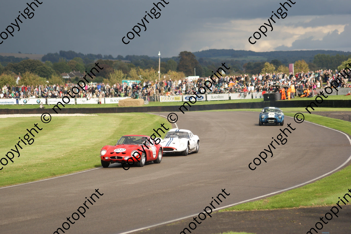 22 Ferrari 250GTO 3 Maserati Type 151 18 Cobra dark sky (22)