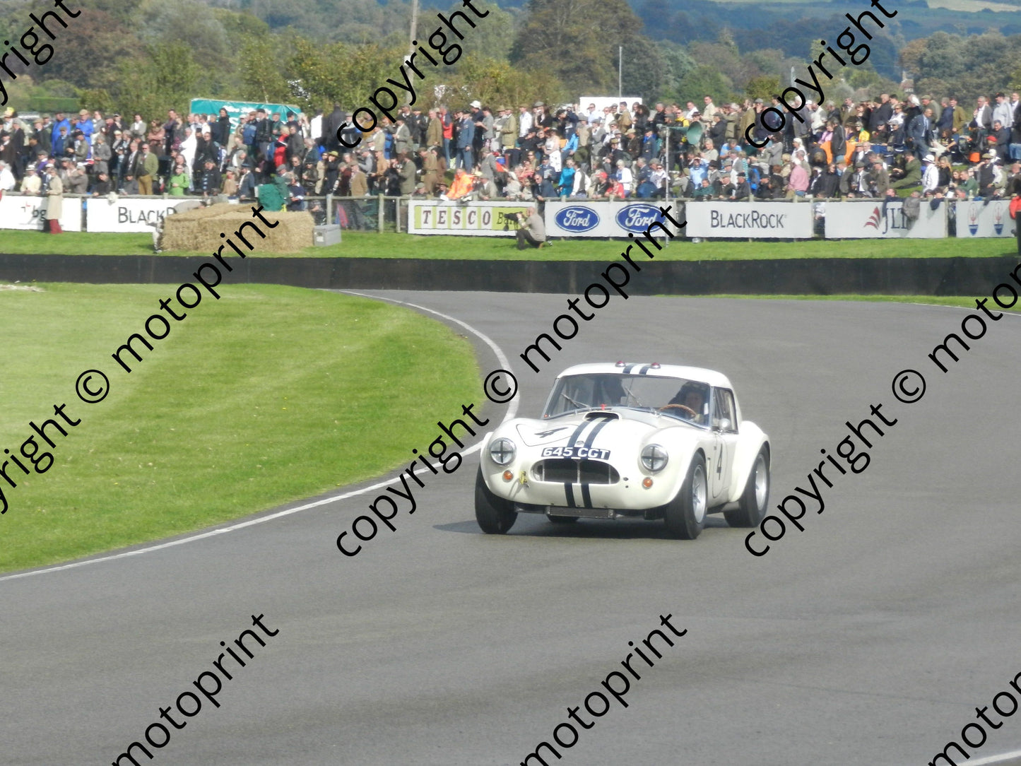 4 Monteverde Oliver Le Mans Coupe Cobra (40)