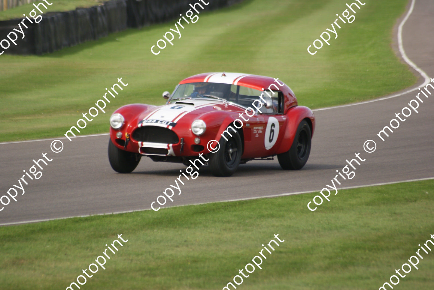 6 Shaun Lynn Desire Wilson (19)