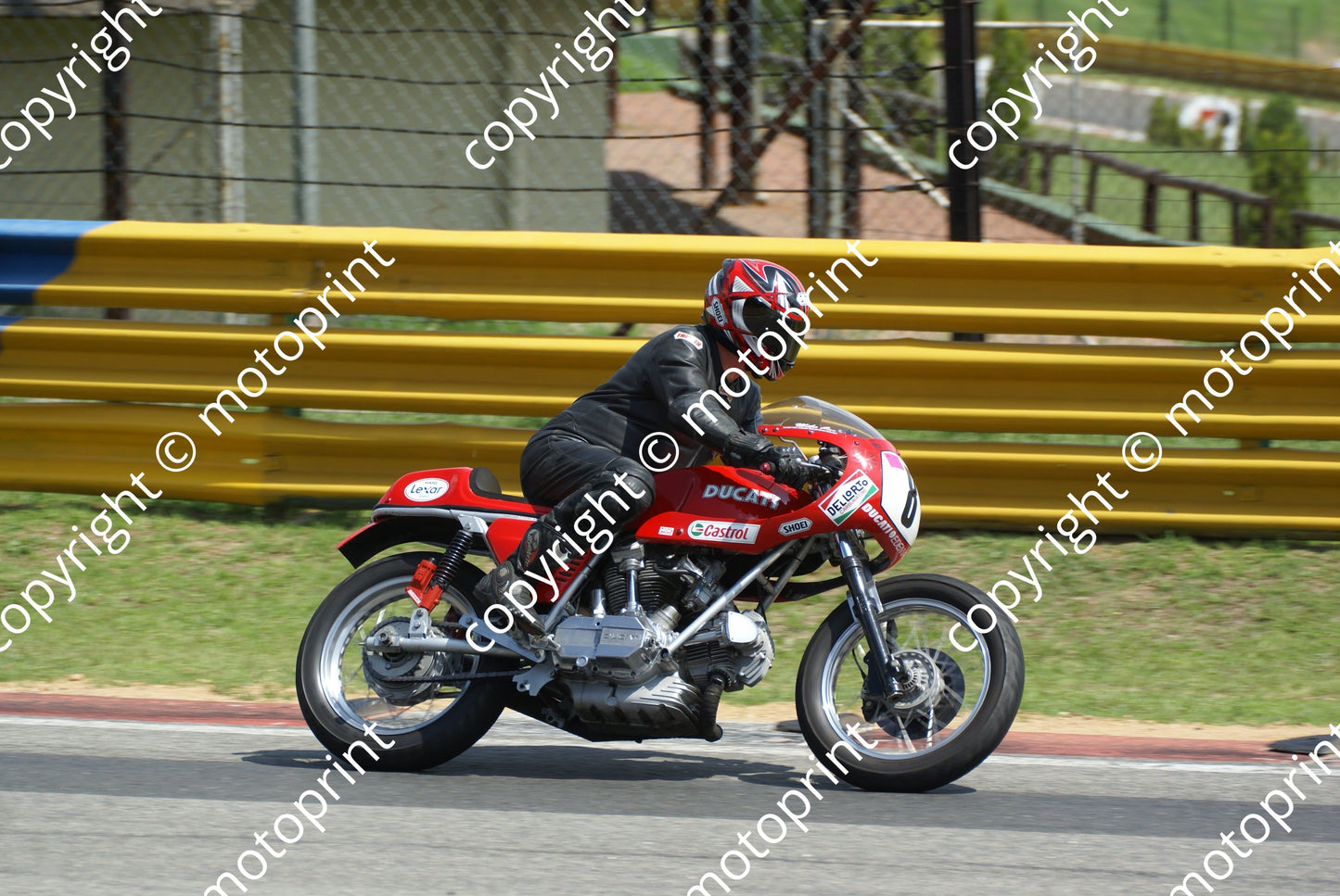 Cox Ducati 8 DSC03583