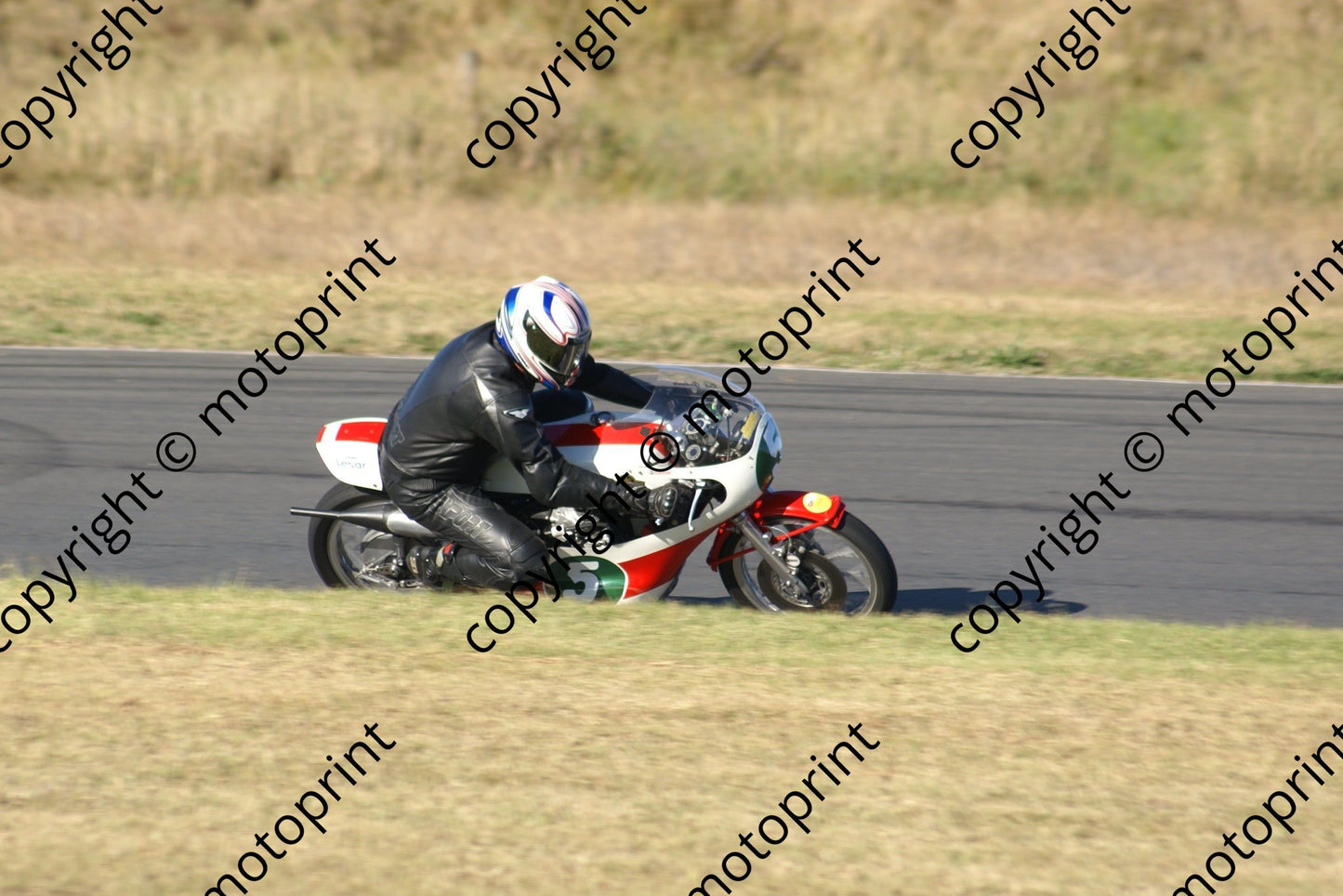 MC 5 Godwin P DSC07904