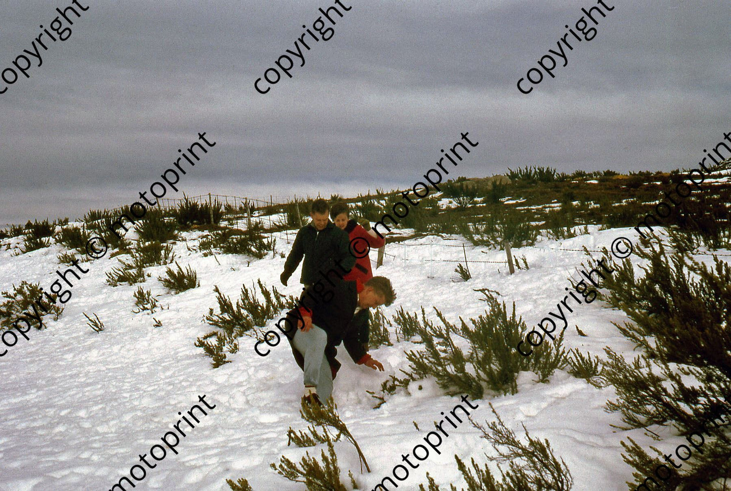 P Katberg snow, Wally, Peter, Audrey Frost