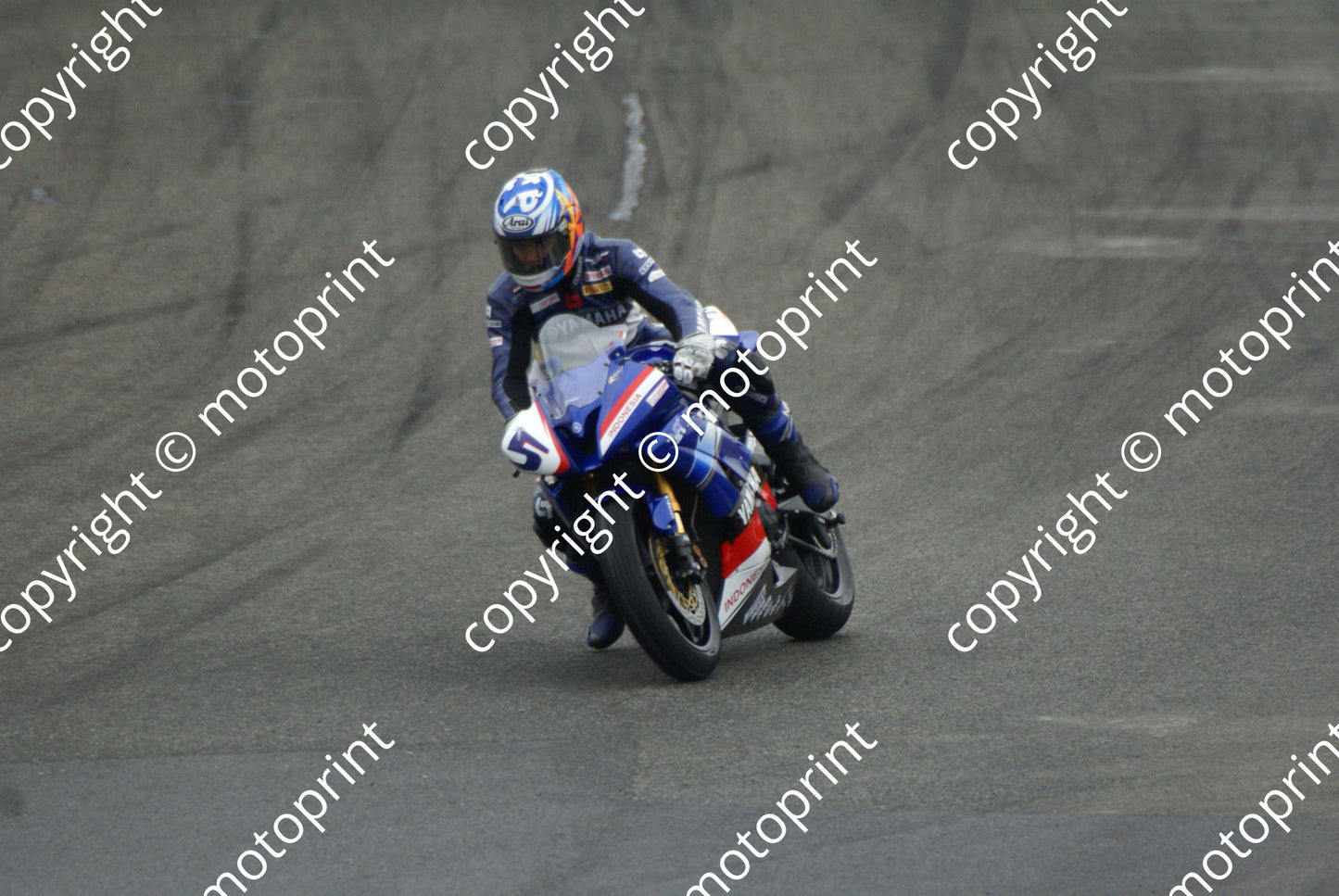 Pradita 16-5 DSC09348