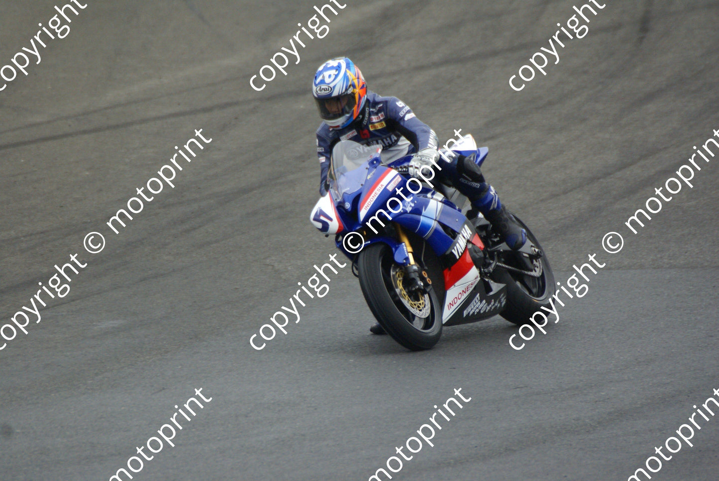 Pradita 16-5 DSC09349