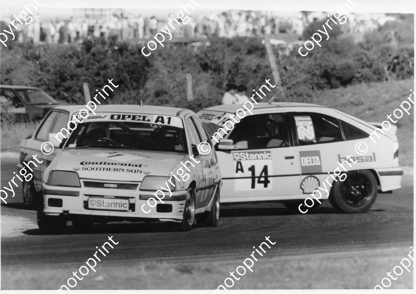 SL Stannic 1990 14 Mare 1 Briggs 1089