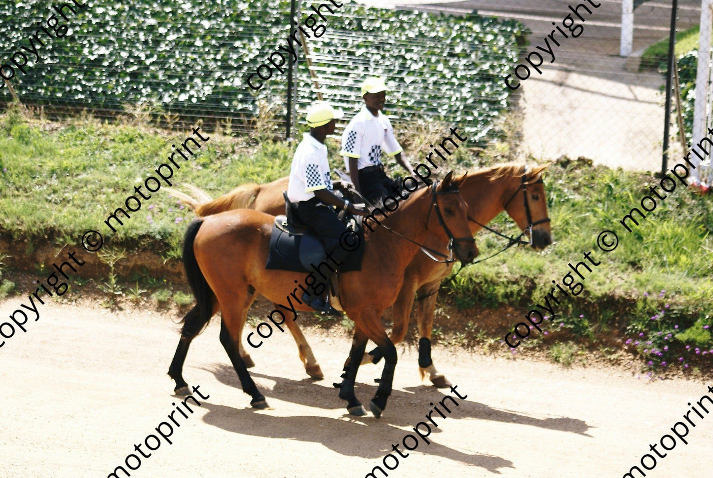 SL two horsepower D1000046