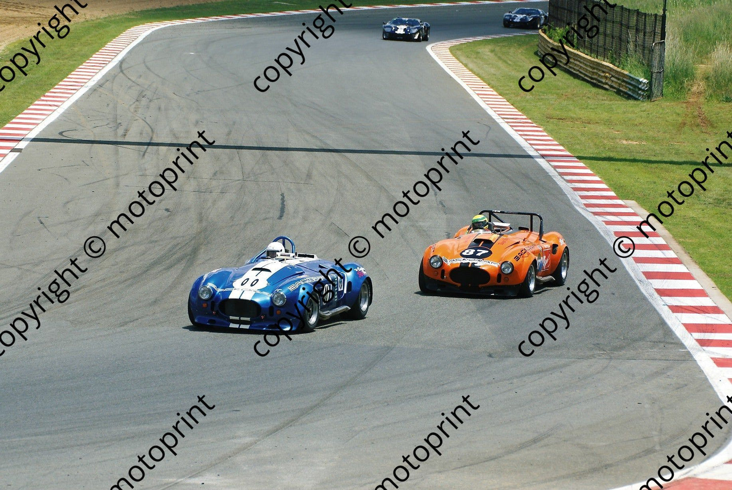 SP 00 Martin 87 Scribante D1000253